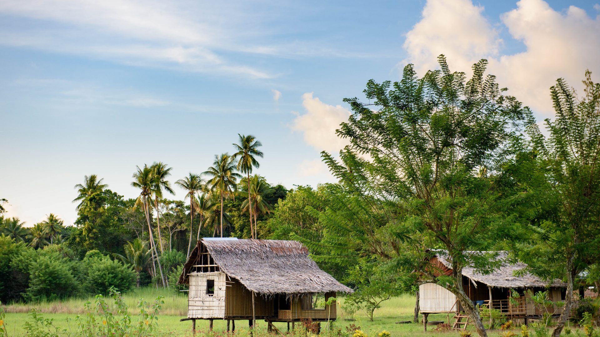 A wooden house on stilts on the edge of the rainforest in Gadaisu village.