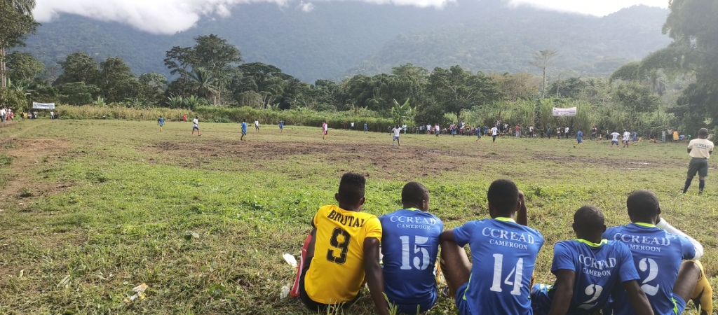 Cinq joueurs de football sont assis sur les lignes latérales d'un terrain de football herbeux, ils regardent le terrain en regardant d'autres joueurs au milieu d'un match de football. La forêt verte entoure le terrain et continue au loin.